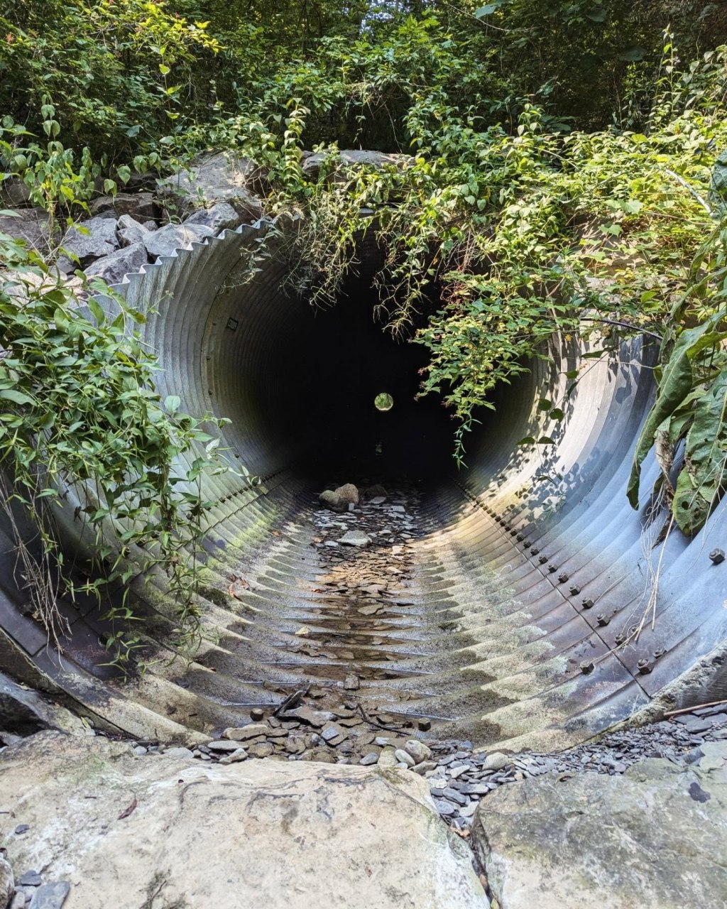 Photo of a tunnel with water running through it
